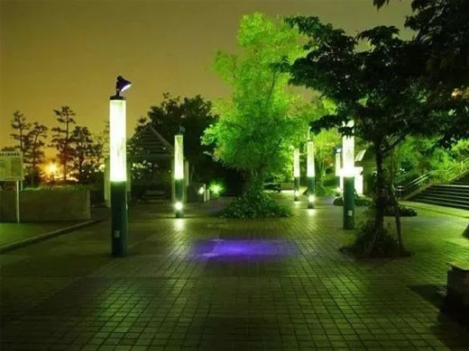07.jpg